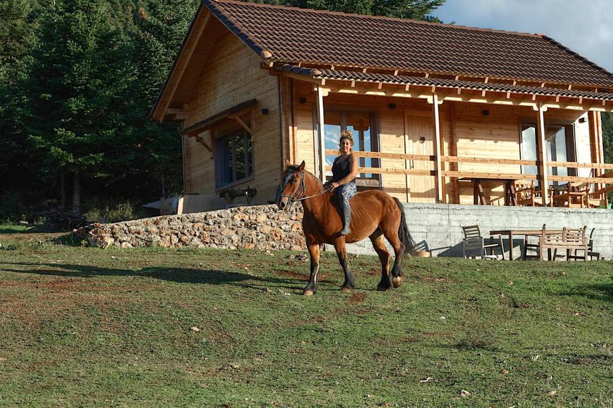 The Farmhouse Vitina Extérieur photo